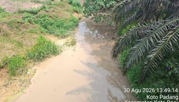 Pengelolaan Limbah Perusahaan di Dharmasraya Disorot, Forest Guardian Desak Hasil Pemeriksaan Dibuka