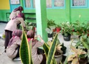 Gerasih  MAN 1 Tanah Datar Wujudkan Madrasah Bersih, Indah dan Menyenangkan