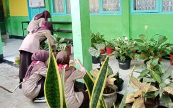 Gerasih  MAN 1 Tanah Datar Wujudkan Madrasah Bersih, Indah dan Menyenangkan