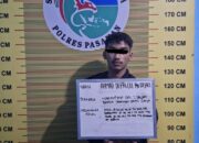Tim Elang Timur Bekuk Pengedar Ganja di Panti, Dua Paket Besar Disita