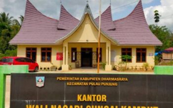 Nagari Sungai Kambut Raih Peringkat II Penurunan Stunting Tingkat Sumbar
