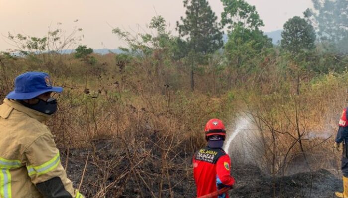 Perkembangan Situasi dan Penanganan Bencana di Tanah Air 23 September 2026