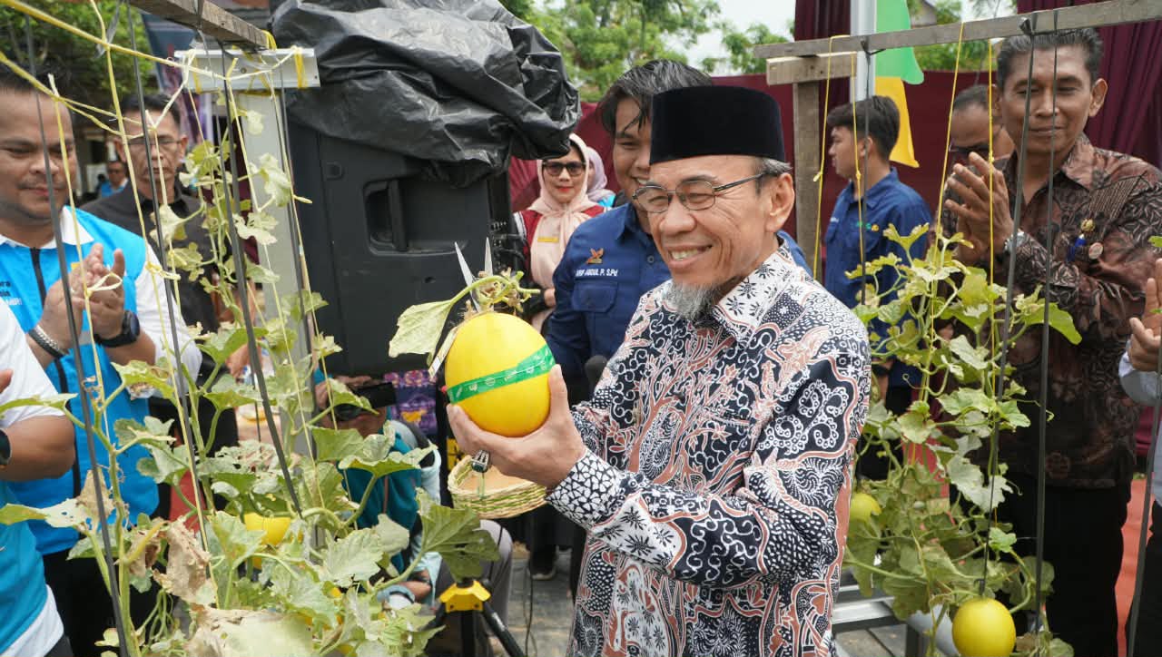 PLN
