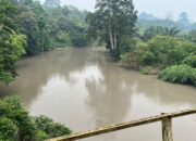 Sungai Batang Siat Menghitam dan Berbau Menyengat, Warga Duga Limbah PT DSL Kembali Bocor