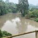 Sungai Batang Siat Menghitam dan Berbau Menyengat, Warga Duga Limbah PT DSL Kembali Bocor