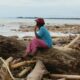WALHI Sumbar  Temukan Dugaan Pelanggaran Tata Ruang di DAS Kuranji dan DAS Air Dingin