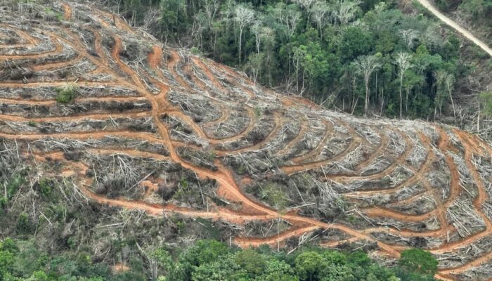 WALHI Sumbar Bongkar Dugaan Pembabatan Hutan Lindung untuk Lapangan Golf Milik Mantan Walikota di Hulu DAS Air Dingin