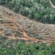 WALHI Sumbar Bongkar Dugaan Pembabatan Hutan Lindung untuk Lapangan Golf Milik Mantan Walikota di Hulu DAS Air Dingin